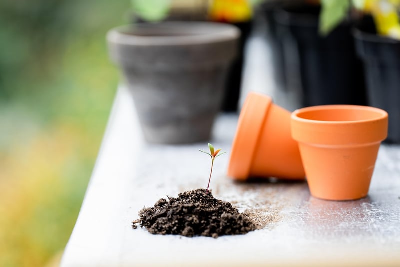 Indoor Gardening