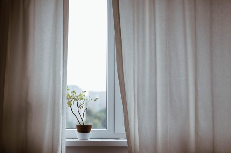 Indoor Garden